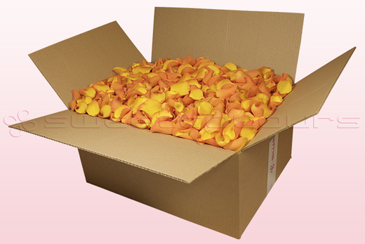 Caja de 24 litros con pétalos de rosa liofilizados de color amarillo dorado