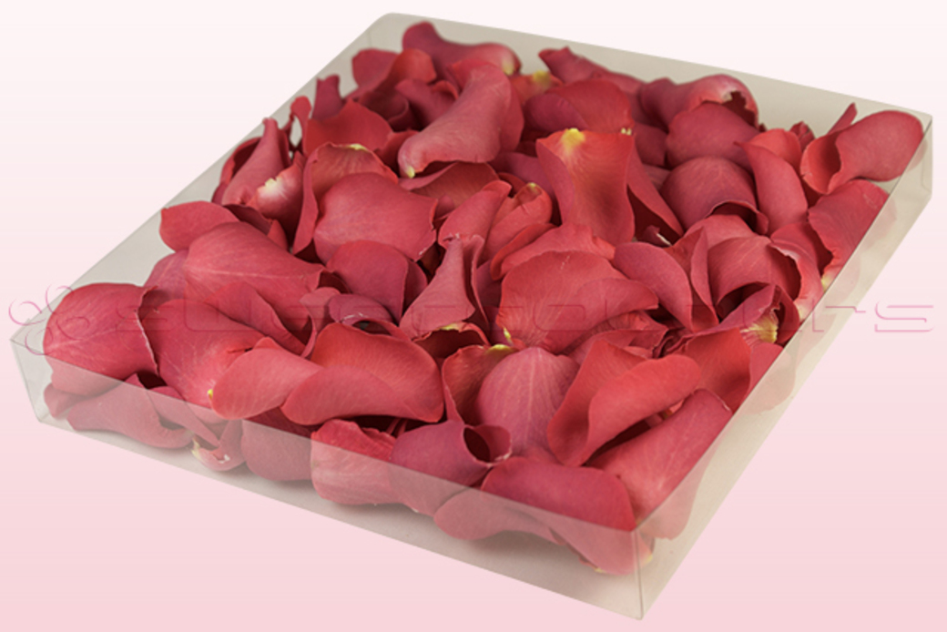 Freeze dried rose petals Coral