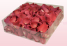 2 Liter Verpackung mit gefriergetrockneten Rosenblättern in der Farbe Koralle