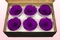 6 Geconserveerde Rozenkoppen, Violet, Maat XL