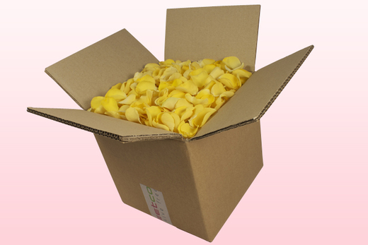 Boîte de 8 litres de pétales de roses lyophilisés couleur jaune pâle