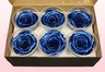 6 Têtes De Roses Conservées, Bleu Métallique, Taille XL