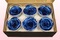 6 Rosas Sin Tallo Preservadas, Azul Metalizado, Tamaño XL