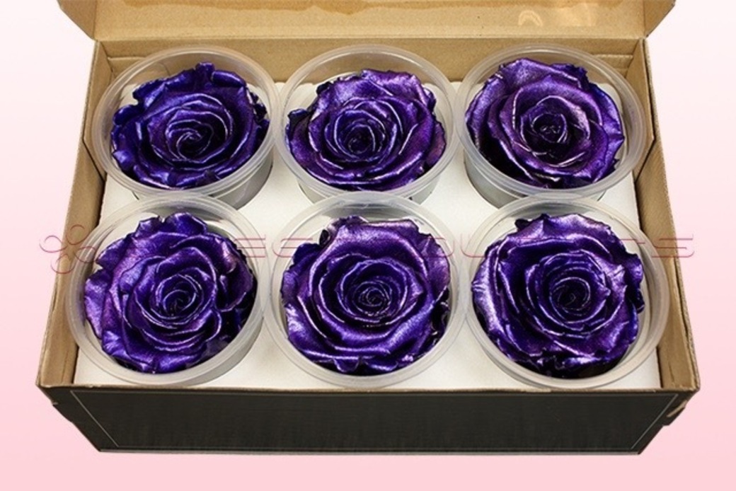 Preserved roses Metallic purple