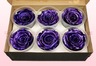 6 Preserved Rose Heads, Metallic Purple, Size XL