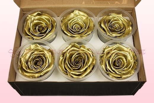 6 Têtes De Roses Conservées, Or Métallique, Taille XL