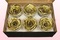 6 Preserved Rose Heads, Metallic Gold, Size XL
