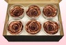 6 Têtes De Roses Conservées, Cuivre Métallique, Taille XL