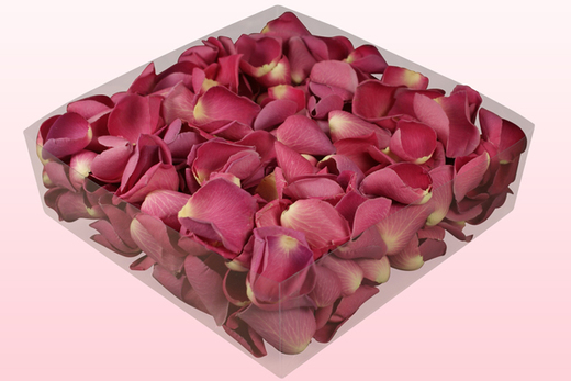 Confezione da 2 litri con petali di rosa liofilizzati di colore rosa scuro. 