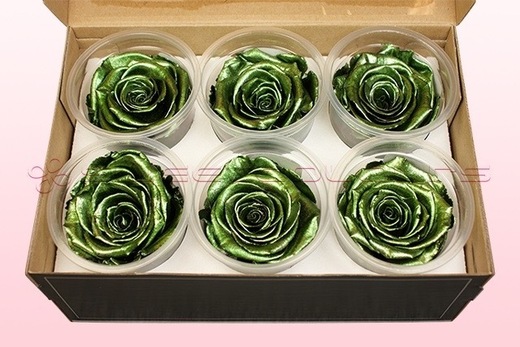 6 Preserved Rose Heads, Metallic Green, Size XL