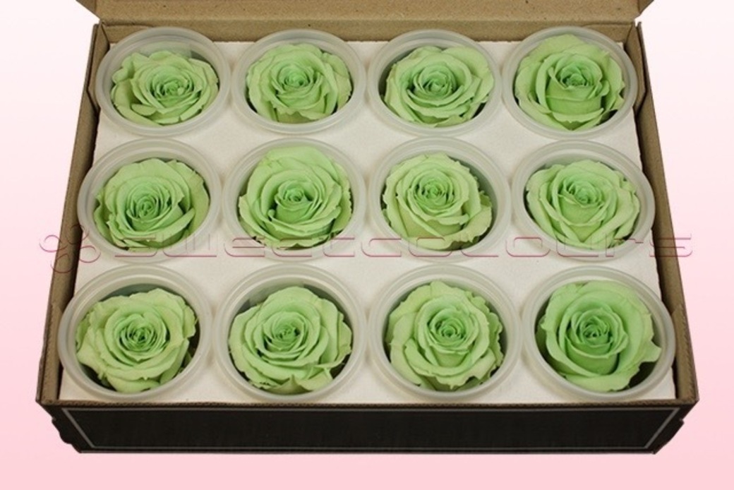 Preserved Roses Mint green