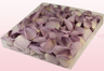 1 Liter Verpackung mit gefriergetrockneten Rosenblättern in der Farbe Zart Lavendel