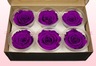 6 Têtes De Roses Conservées, Violet, Taille L