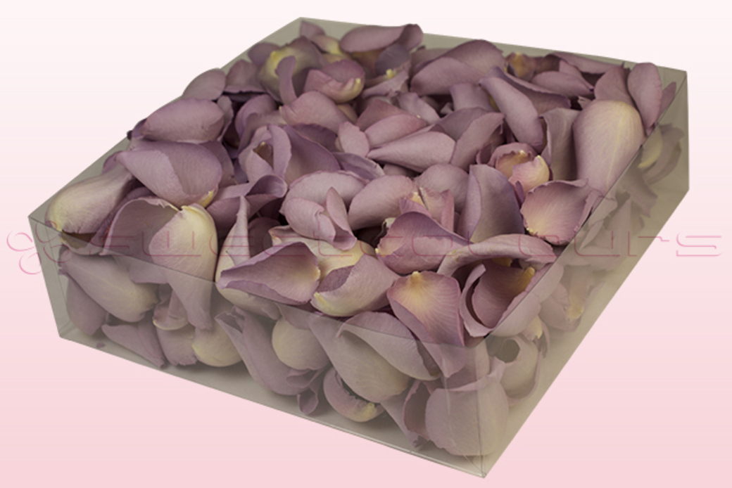 Freeze dried rose petals Lovely lilac
