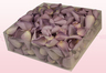 2 Liter Verpackung mit gefriergetrockneten Rosenblättern in der Farbe Zart Lavendel