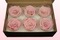 6 Preserved Rose Heads, Light Pink-White, Size L