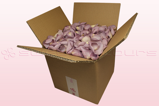 Boîte de 8 litres de pétales de roses lyophilisés couleur lavande élégant