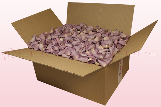 24 Litre Box Lovely Lilac Freeze Dried Rose Petals