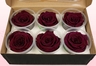 6 Têtes De Roses Conservées, Lie de vin, Taille XL