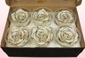 6 Rosas Sin Tallo Preservadas, Cebra, Tamaño XL