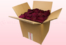 Caja de 8 litros con pétalos de rosa preservados de color Rojo vino