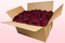 24 Liter Karton mit konservierten Rosenblättern in der Farbe Wein