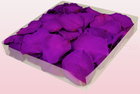 Final check preserved rose petals  1 litre box  violet pink  sweet colours