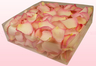 Confezione da 2 litri con petali di rosa liofilizzati di colore rosa antico. 