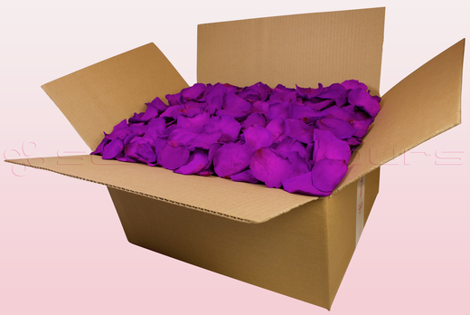 24 Liter Karton mit konservierten Rosenblättern in der Farbe Purpur