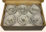 6 konserverede rosenhoveder, Grå, Størrelse XL