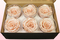 6 Preserved Rose Heads, Satin peach, Size XL