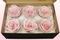6 Rosas Inteiras Conservadas, Cetim rosa claro, Tamanho XL