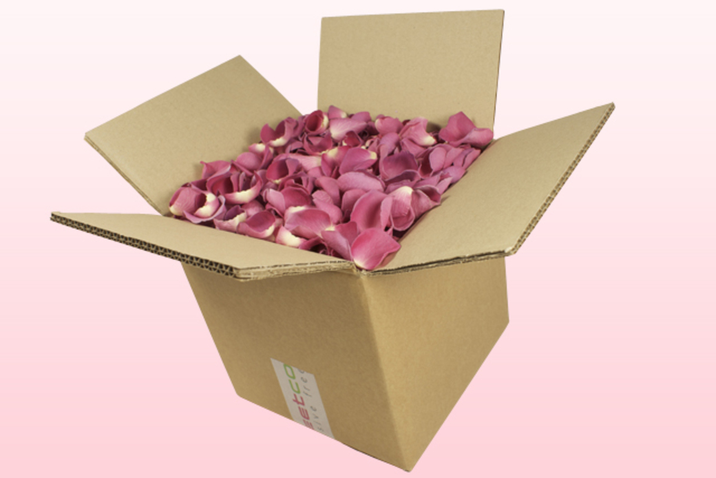 Freeze dried rose petals Classic pink