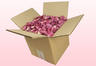 Caja de 8 litros con pétalos de rosa liofilizados de color rosa oscuro.  