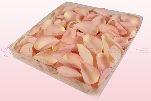 Confezione da 1 litro con petali di rosa liofilizzati di colore rosa elegante. 