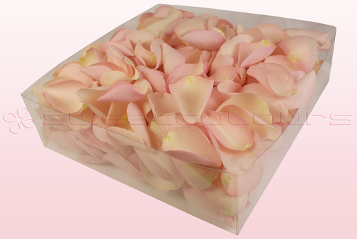 Emballage 2 litres de pétales de roses lyophilisés couleur rose tendre