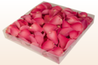 Final check freeze dried rose petals  fuchsia  1 litre box  sweet colours