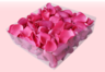 2 Liter Verpackung mit gefriergetrockneten Rosenblättern in der Farbe Magenta Pink