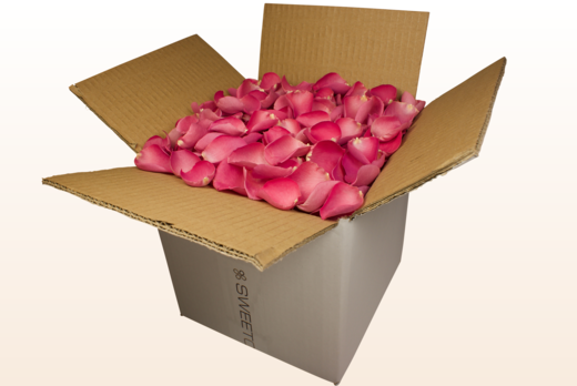 Boîte de 8 litres de pétales de roses lyophilisés couleur rose foncé