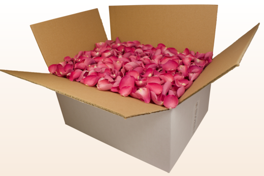 Caja de 24 litros con pétalos de rosa liofilizados de color magenta.  