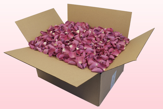 24 Liter Karton mit gefriergetrockneten Rosenblättern in der Farbe Pink