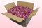 Caja de 24 litros con pétalos de rosa liofilizados de color rosa oscuro.  