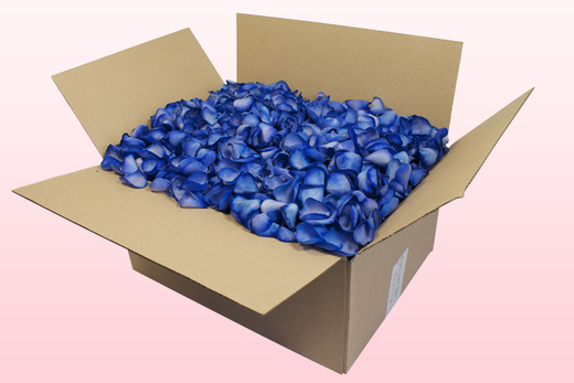 24 Liter Karton mit gefriergetrockneten Rosenblättern in der Farbe Blau